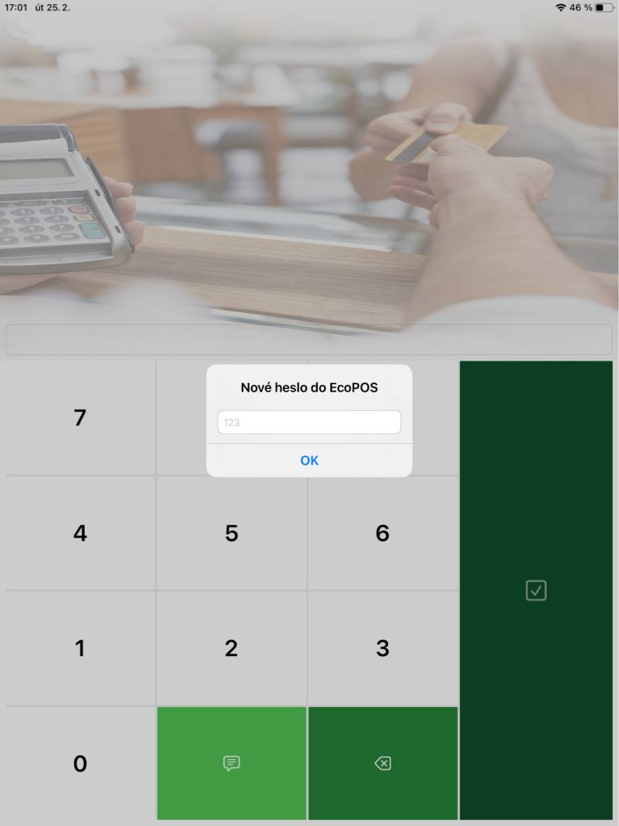 Setting the login password in BitcoinPOS